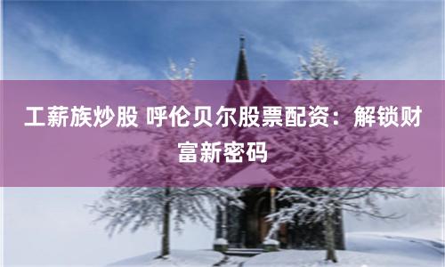 工薪族炒股 呼伦贝尔股票配资：解锁财富新密码