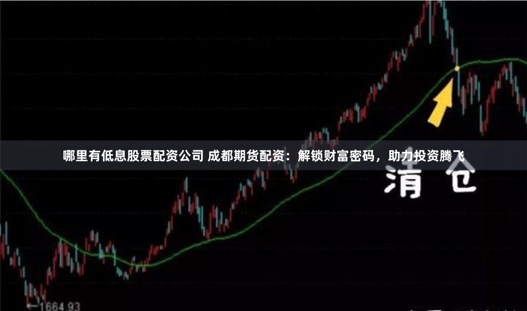 哪里有低息股票配资公司 成都期货配资：解锁财富密码，助力投资腾飞