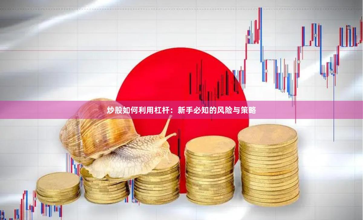 炒股如何利用杠杆：新手必知的风险与策略